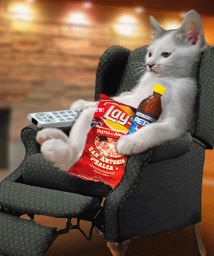 cattv random