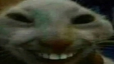 xdd random