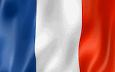 france flag random