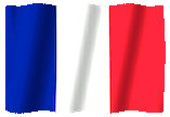 flag france random