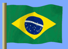 brezilya brazil flag random