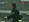 el piojo random