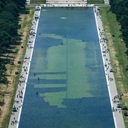 reflecting pool algae random