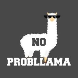no probllama random