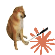 a dog sitting on the ground with a brush in it's mouth