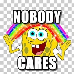 nobody cares random