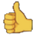 thumbs up mirrored slack emoji1 random