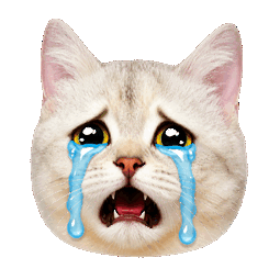 cry cat random