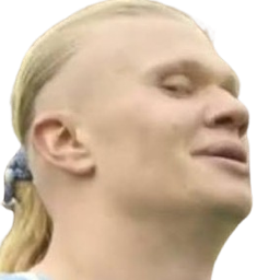 haaland sideeye random