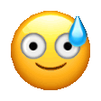 sweat smile terrified random