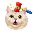 cat bonk random
