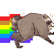 nyan jimothy random