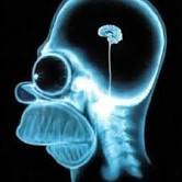 homer brain random