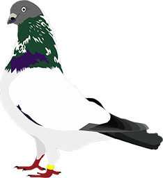 a white and green bird sitting on top of a piece of wood
