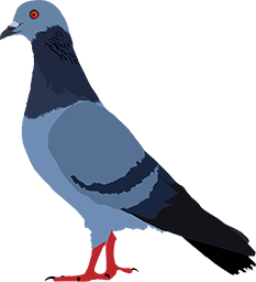 a blue bird sitting on top of a red object
