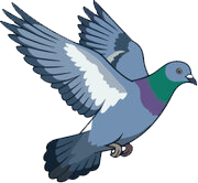 a blue bird flying with its wings spread