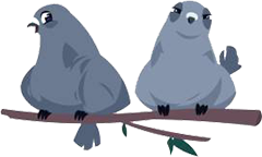 a couple of birds sitting on top of a tree branch
