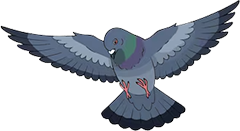 pigeonfly random