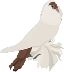 pigeongermanhelmet random