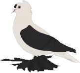 pigeonsaxonfairyswallow random