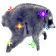 jimothy sparkle color random