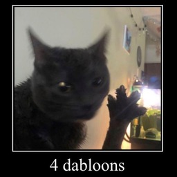 dabloon random