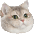 heavy breathing content aware random