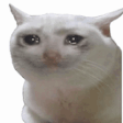 crycat content aware random