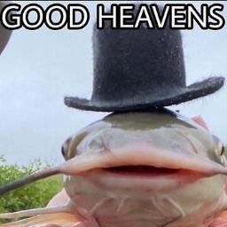 good heavens random