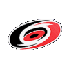 hurricanes logo spin random