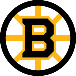 bruins logo random