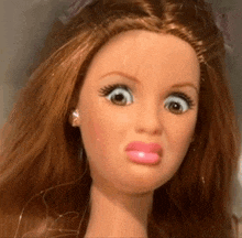 a close up of a doll's face with long hair