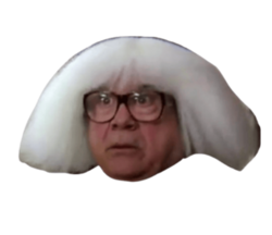 dannywig random