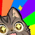amaze cat random