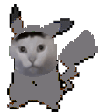 pika huh random