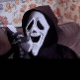 a person wearing a mask and holding a cat