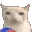 a blurry photo of a white llama wearing a blue shirt