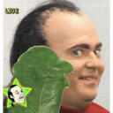 a man holding a green leaf in front of his face