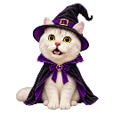halloween cat witch random