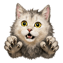 halloween cat werewolf random