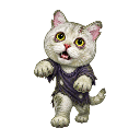 halloween cat zombie random