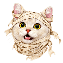 halloween cat mummy random