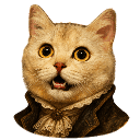 halloween cat haunted portrait random