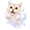 halloween cat ghost random
