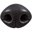 boop random