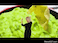 holyguac random
