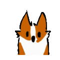 yohellocorgi random