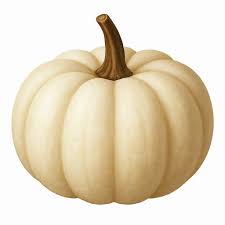 whitepumpkin random