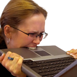 bites laptop random