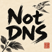 not dns random
